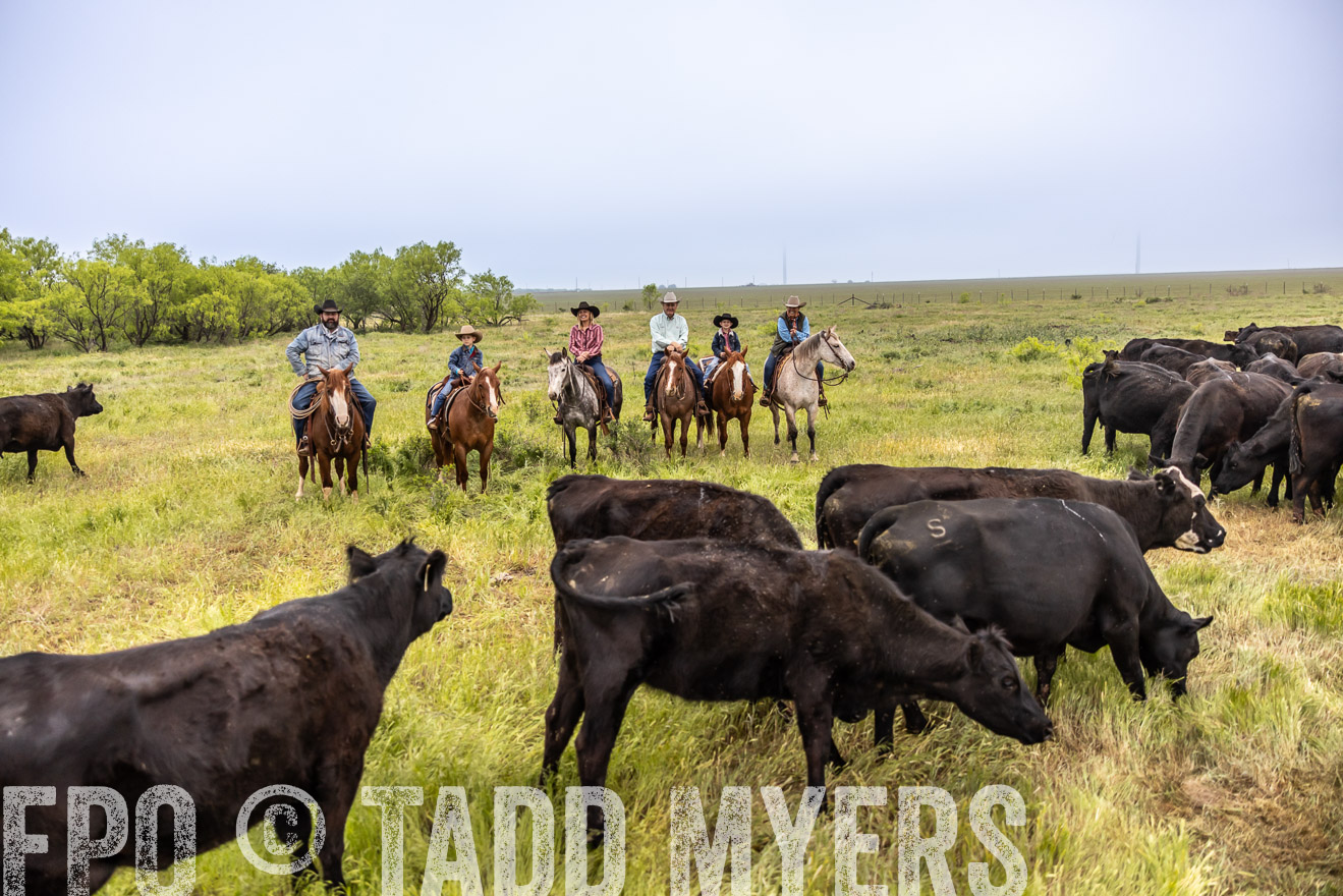 TMyers_PP_CircleBarRanch_TruscottTX_April2024-510483