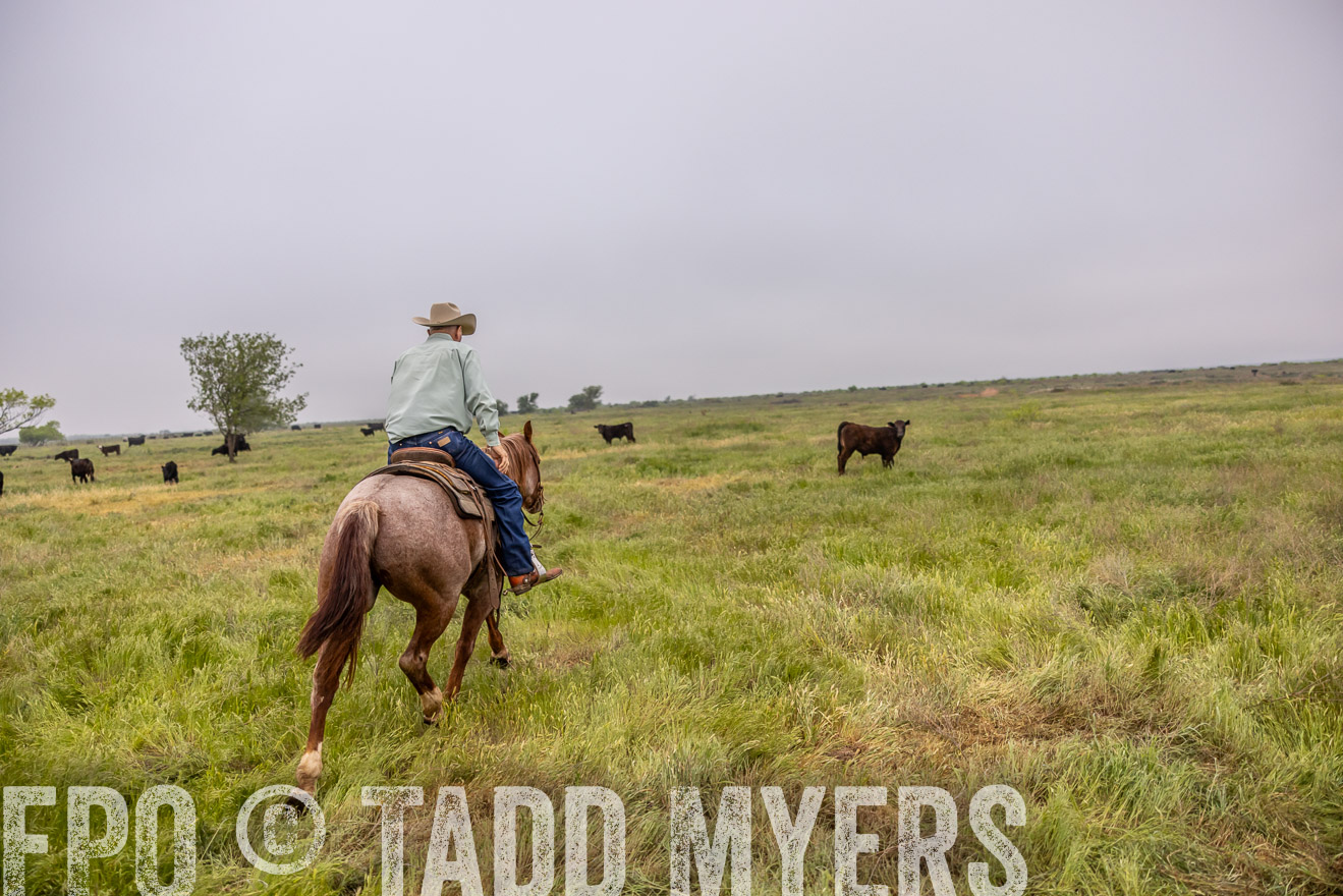 TMyers_PP_CircleBarRanch_TruscottTX_April2024-510509