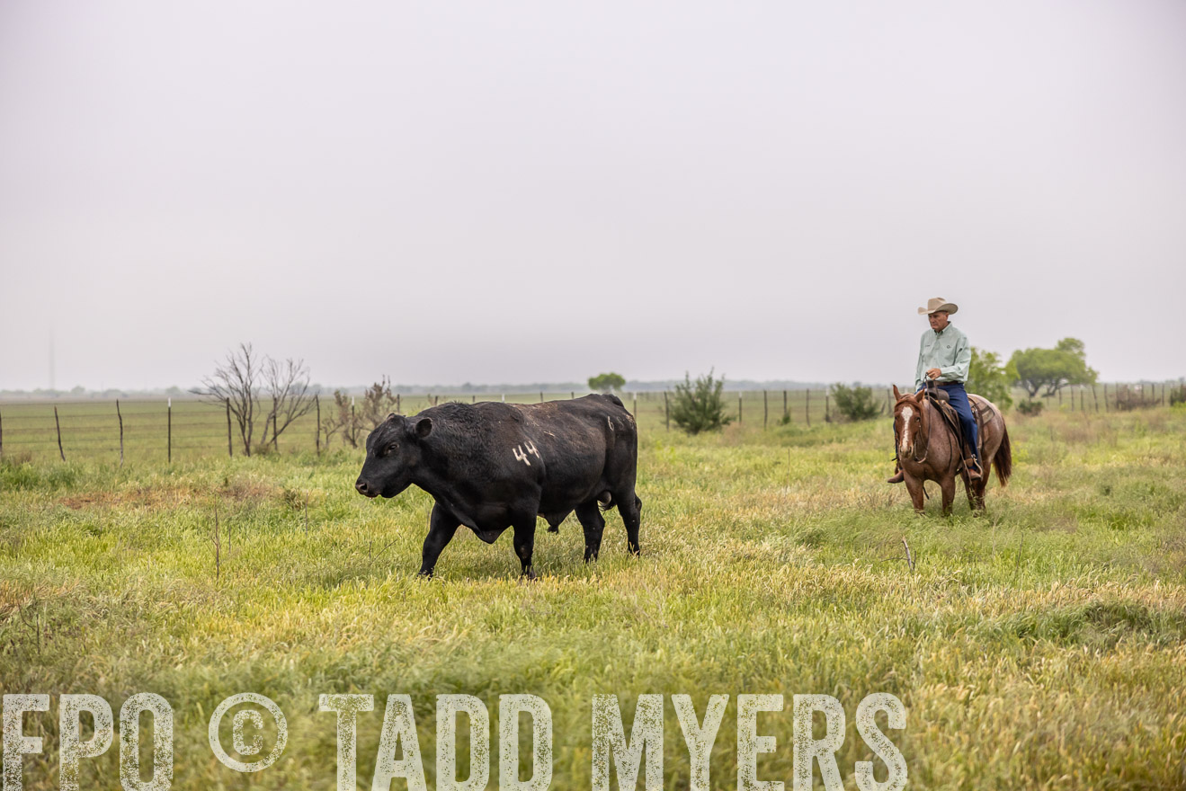 TMyers_PP_CircleBarRanch_TruscottTX_April2024-510526