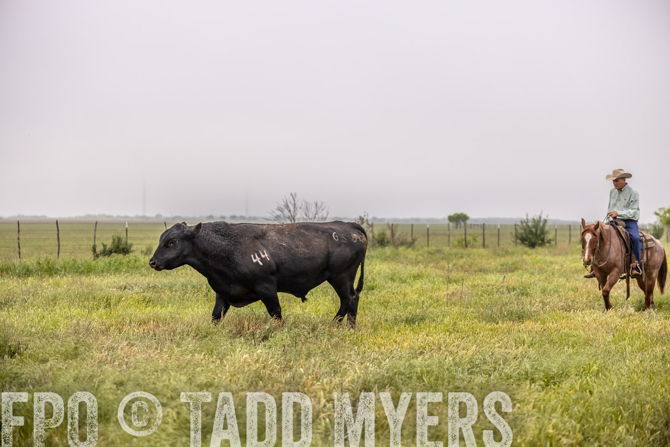 TMyers_PP_CircleBarRanch_TruscottTX_April2024-510528
