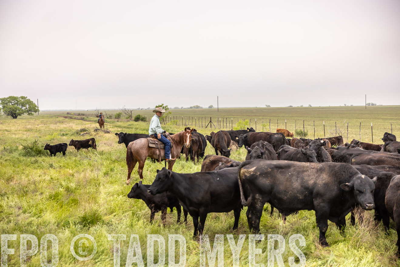 TMyers_PP_CircleBarRanch_TruscottTX_April2024-510558