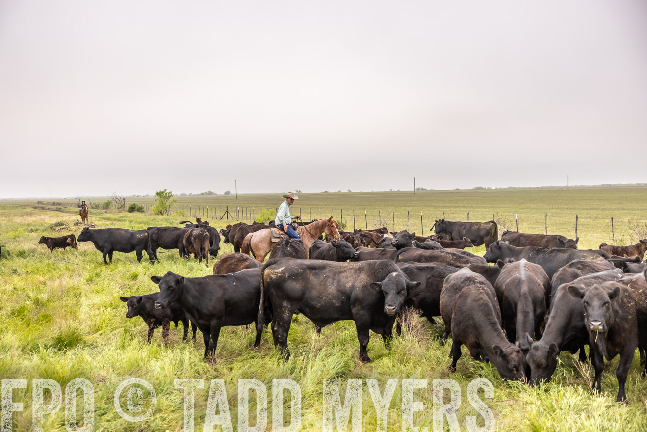 TMyers_PP_CircleBarRanch_TruscottTX_April2024-510566