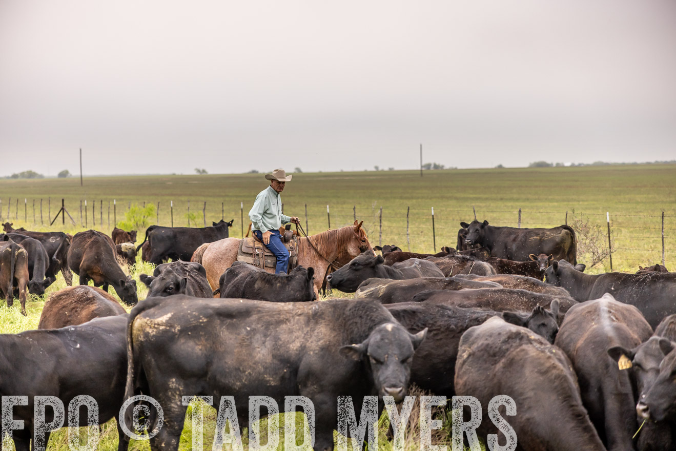 TMyers_PP_CircleBarRanch_TruscottTX_April2024-510568