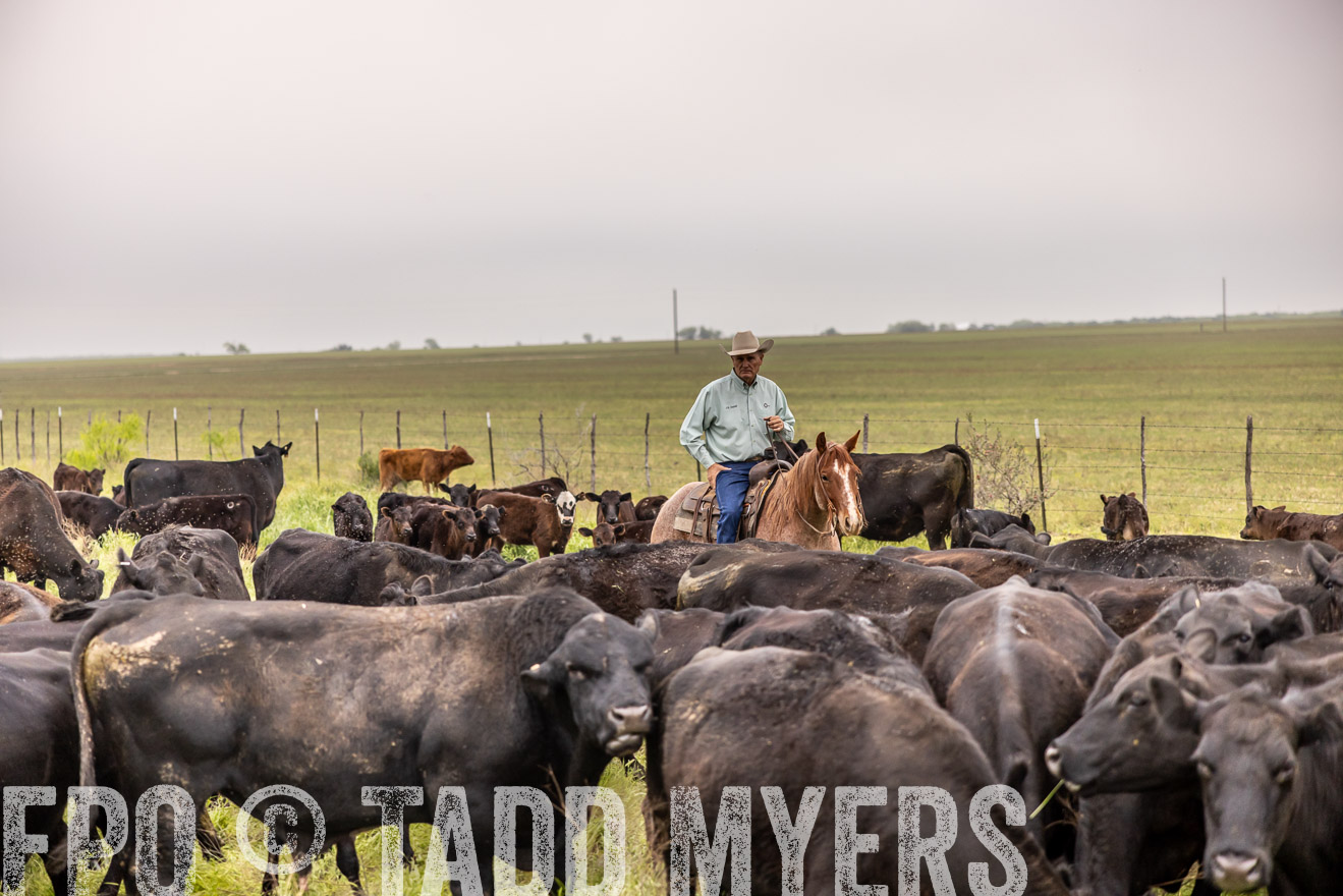 TMyers_PP_CircleBarRanch_TruscottTX_April2024-510572