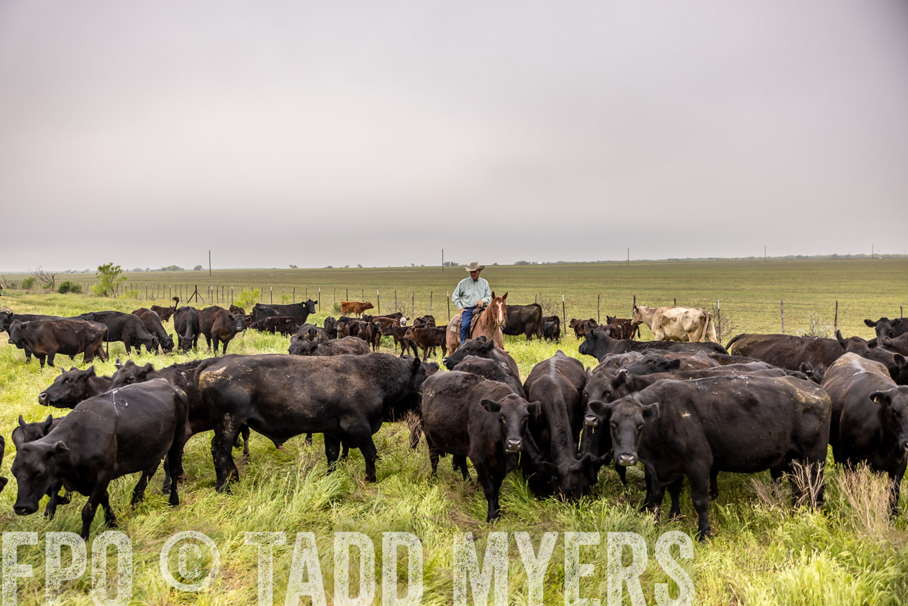 TMyers_PP_CircleBarRanch_TruscottTX_April2024-510576