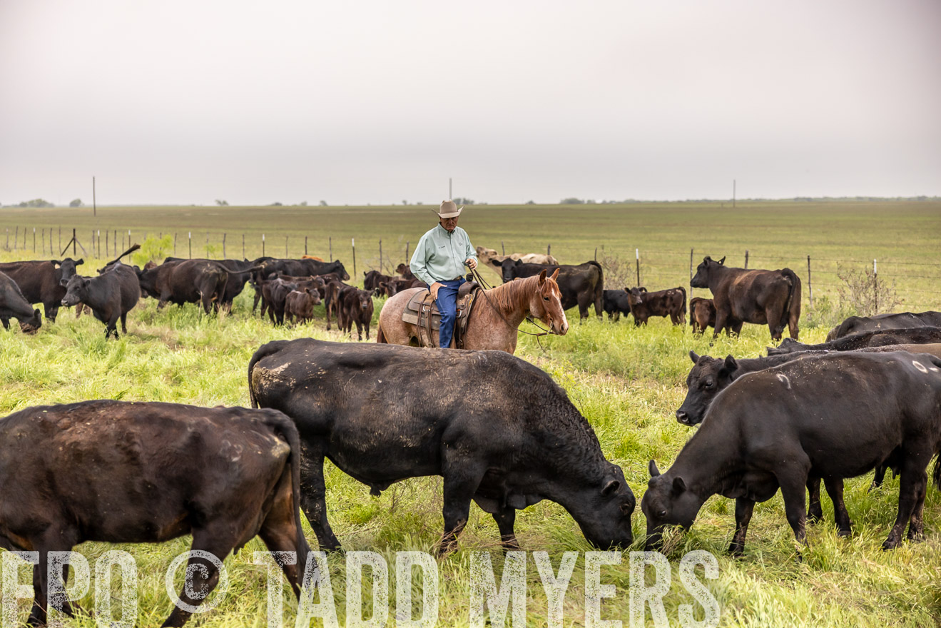 TMyers_PP_CircleBarRanch_TruscottTX_April2024-510581