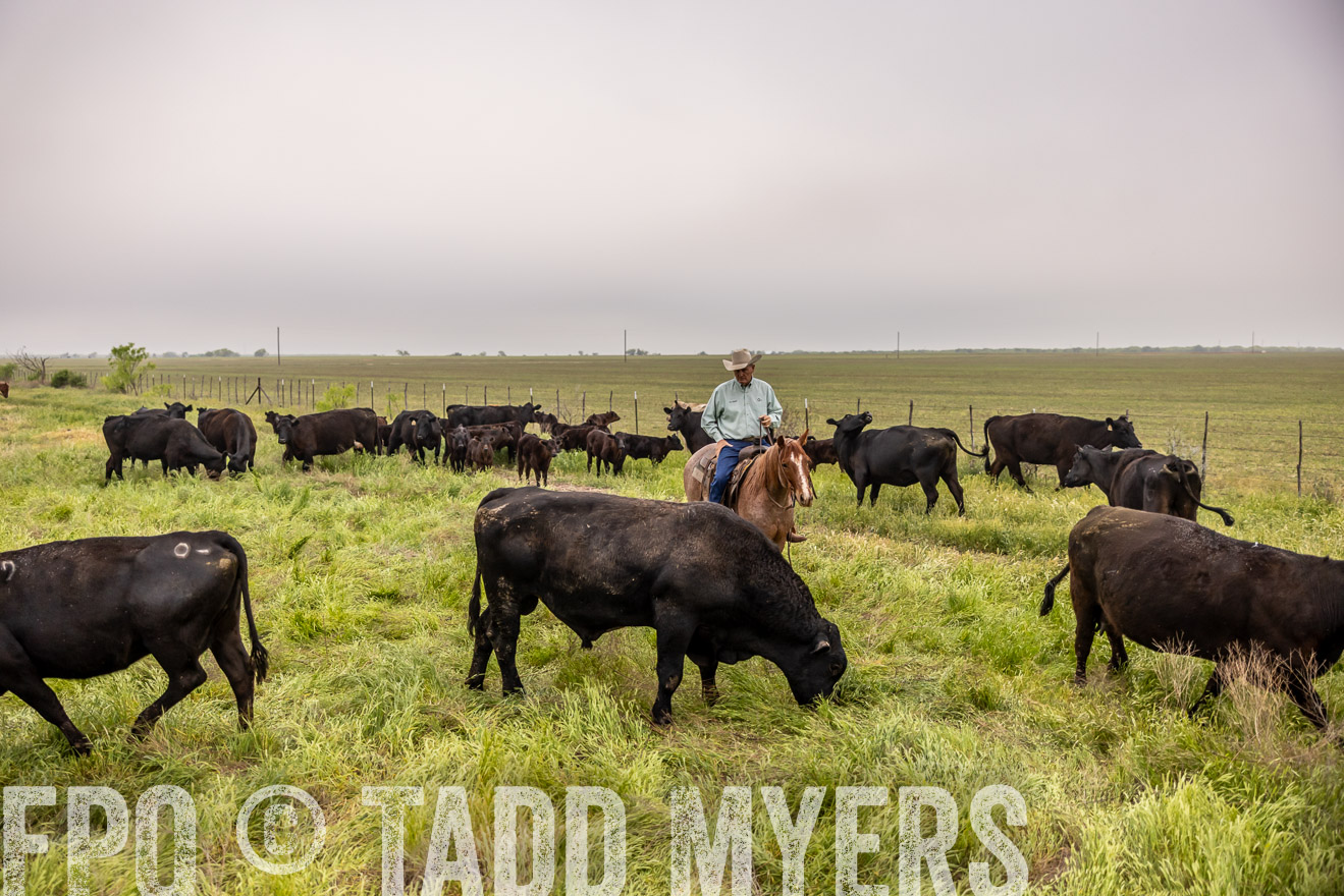 TMyers_PP_CircleBarRanch_TruscottTX_April2024-510595