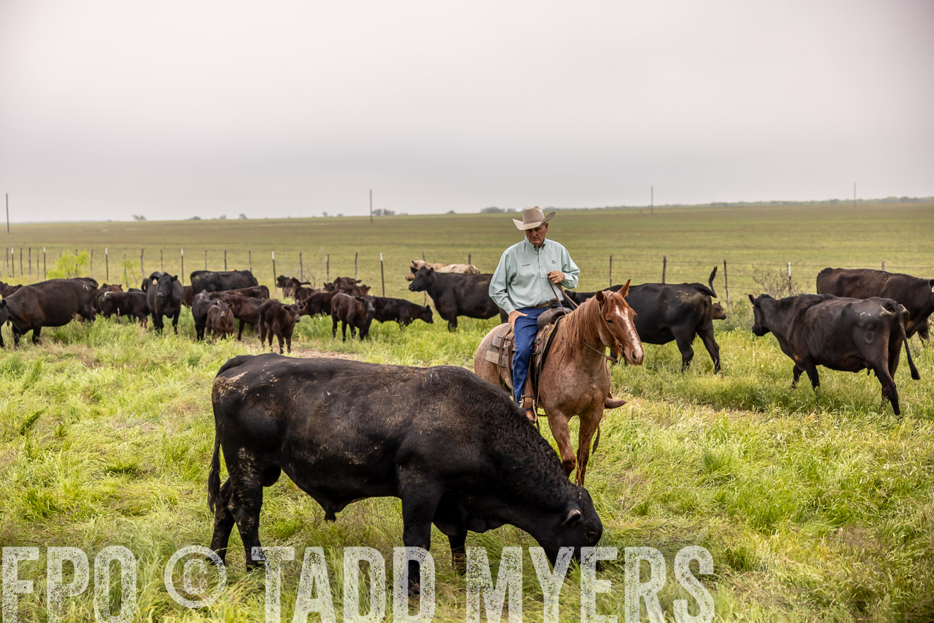 TMyers_PP_CircleBarRanch_TruscottTX_April2024-510599