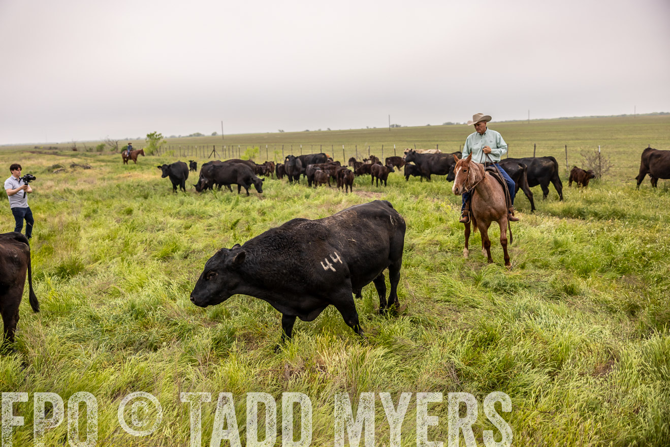 TMyers_PP_CircleBarRanch_TruscottTX_April2024-510615