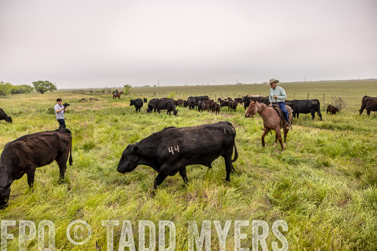 TMyers_PP_CircleBarRanch_TruscottTX_April2024-510618