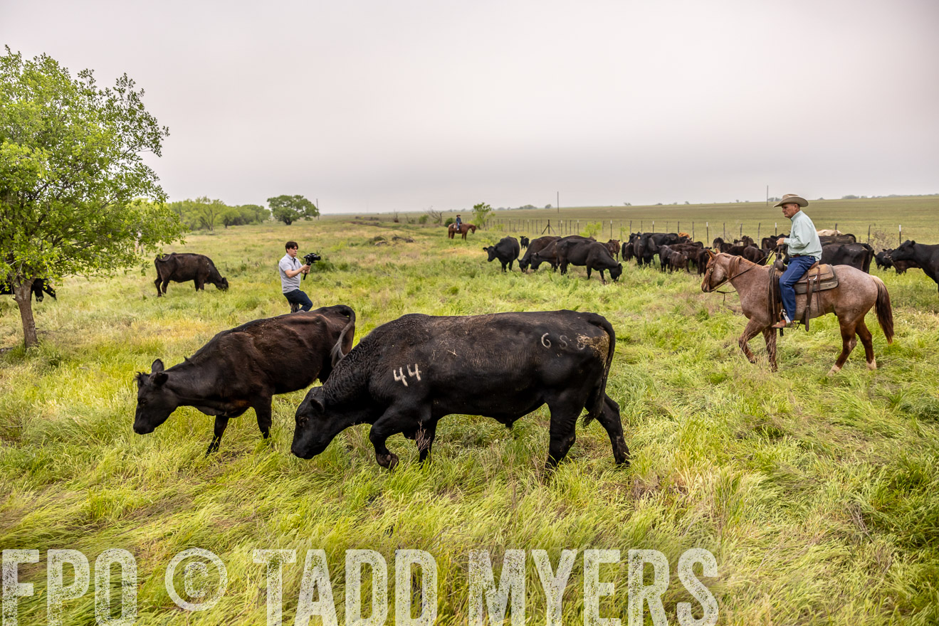TMyers_PP_CircleBarRanch_TruscottTX_April2024-510628