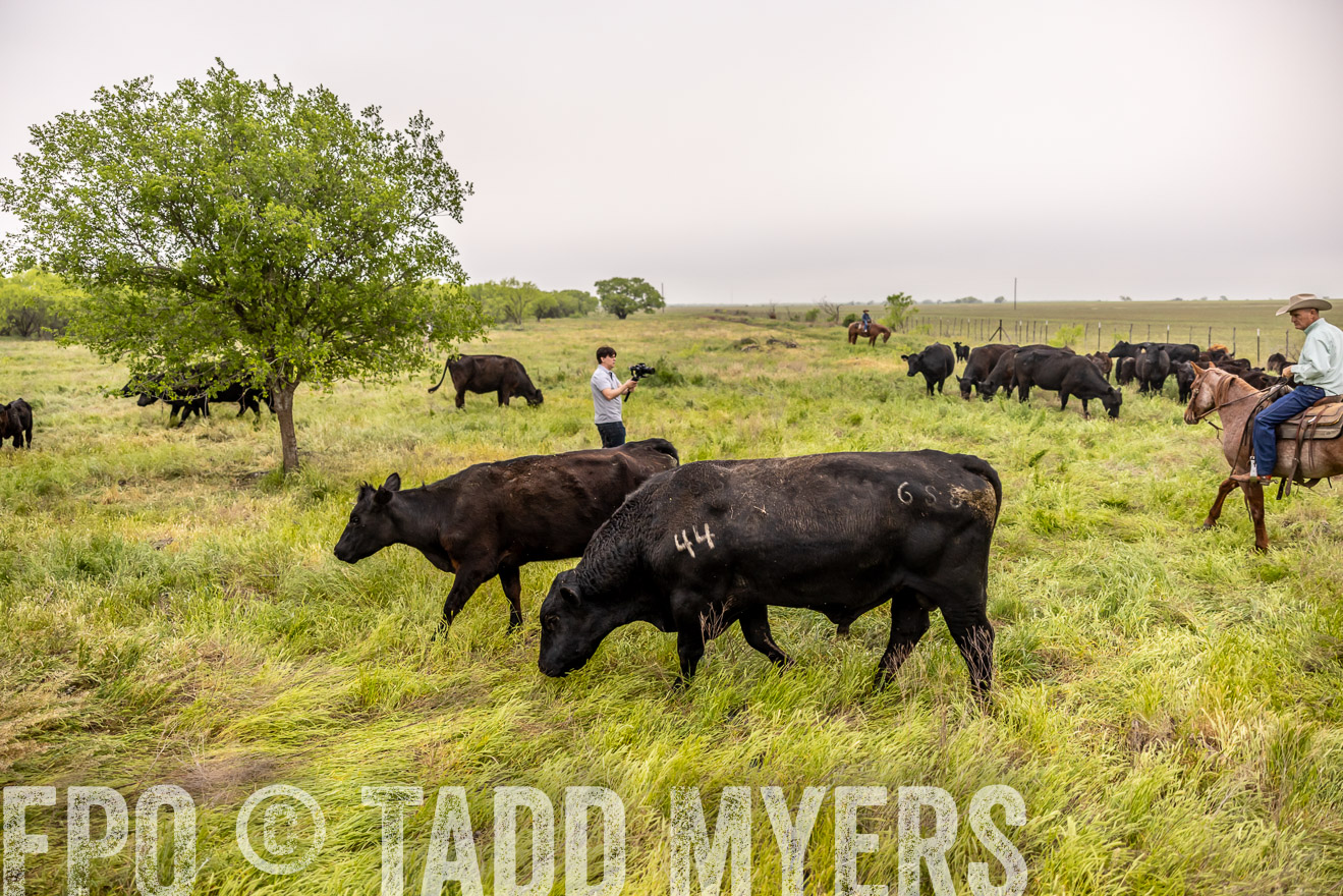 TMyers_PP_CircleBarRanch_TruscottTX_April2024-510634