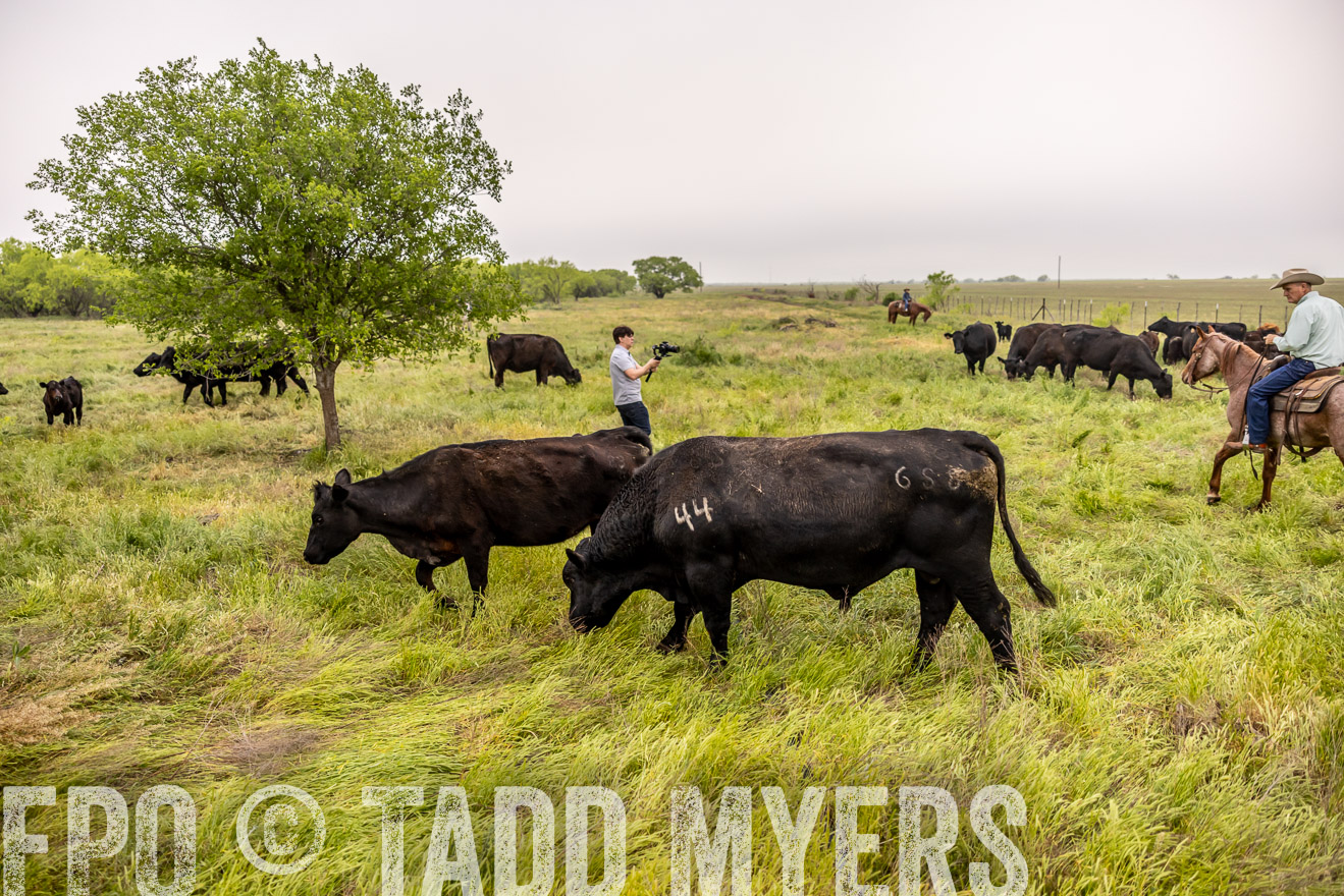 TMyers_PP_CircleBarRanch_TruscottTX_April2024-510639