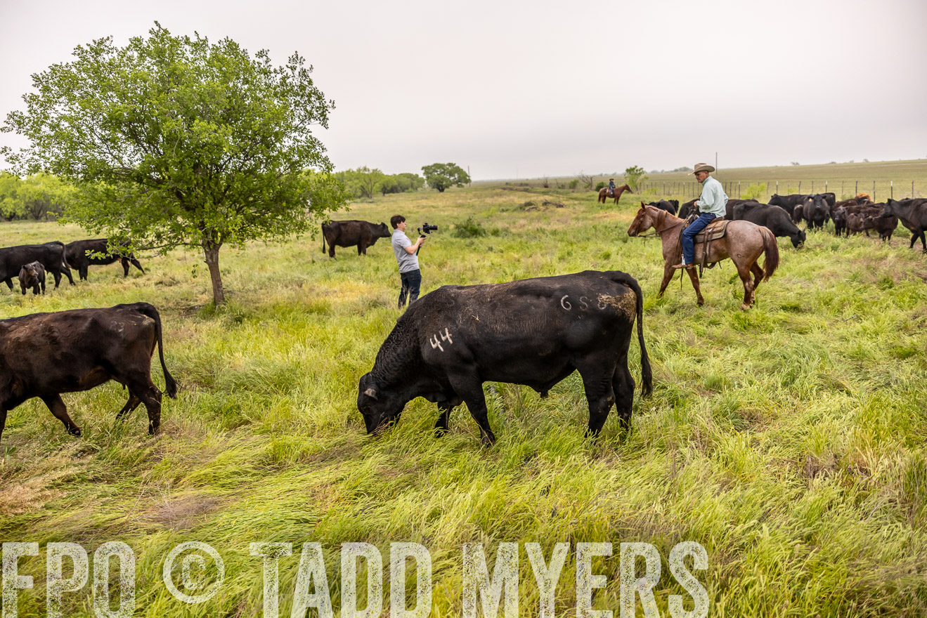 TMyers_PP_CircleBarRanch_TruscottTX_April2024-510647