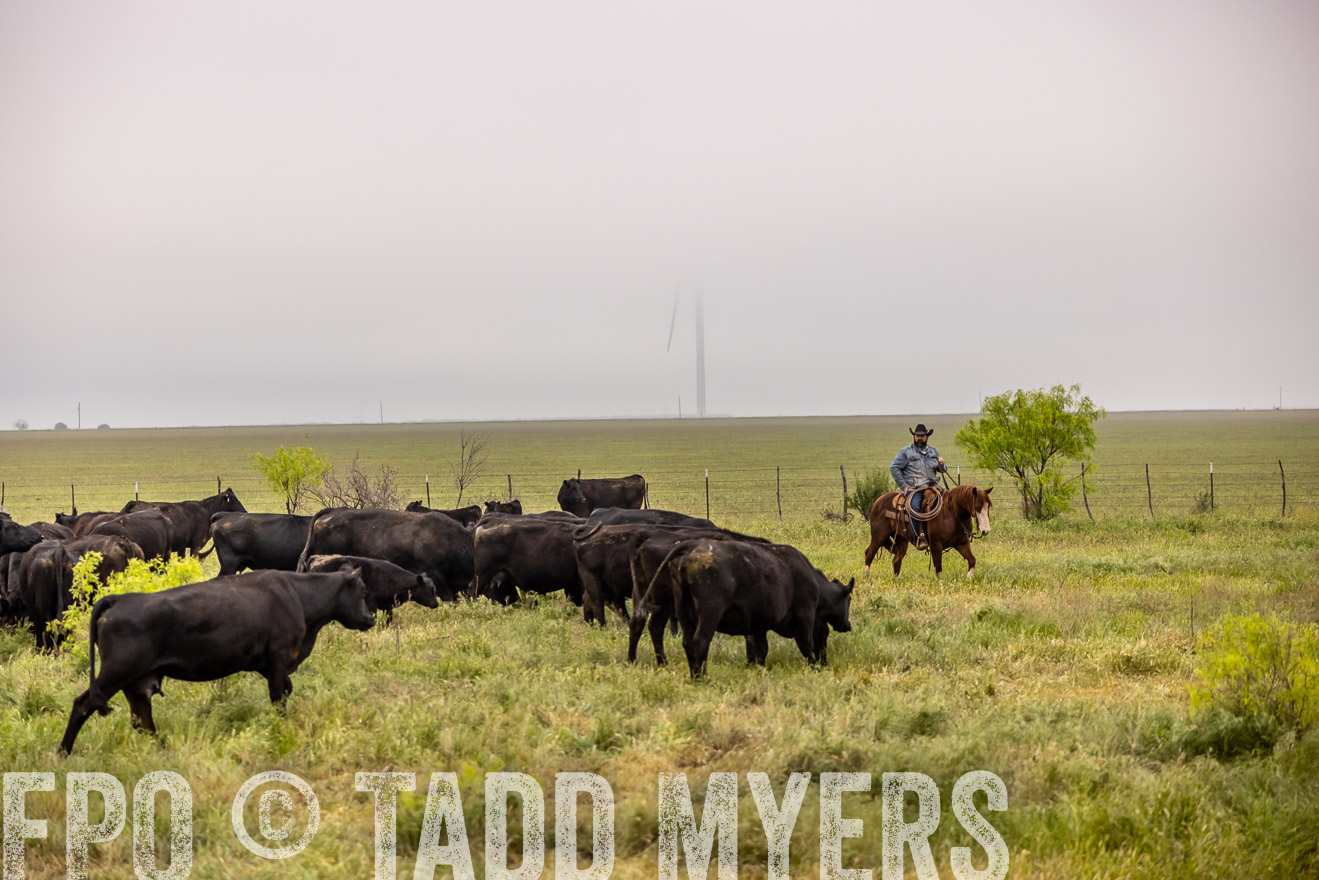 TMyers_PP_CircleBarRanch_TruscottTX_April2024-510673