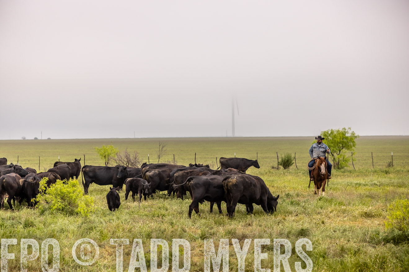 TMyers_PP_CircleBarRanch_TruscottTX_April2024-510677