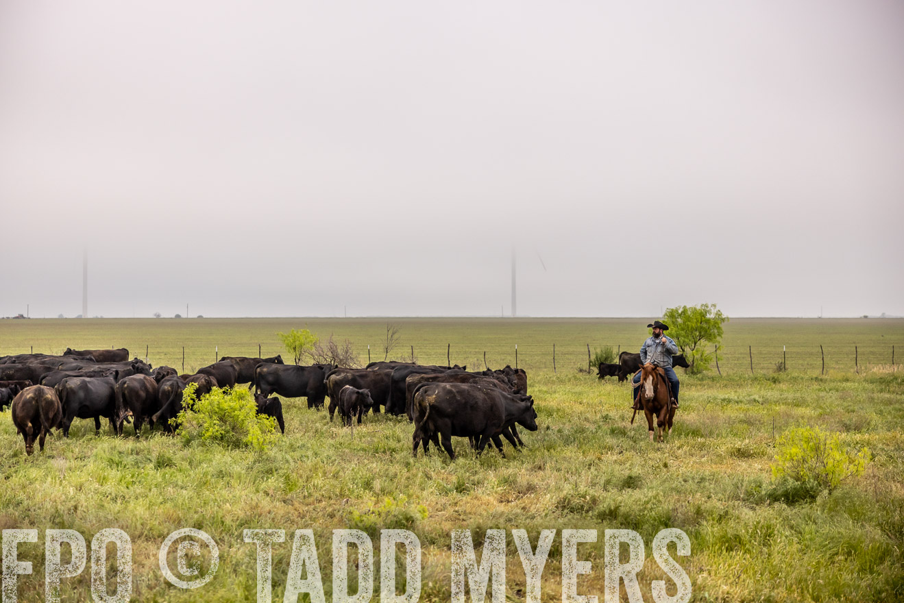 TMyers_PP_CircleBarRanch_TruscottTX_April2024-510680