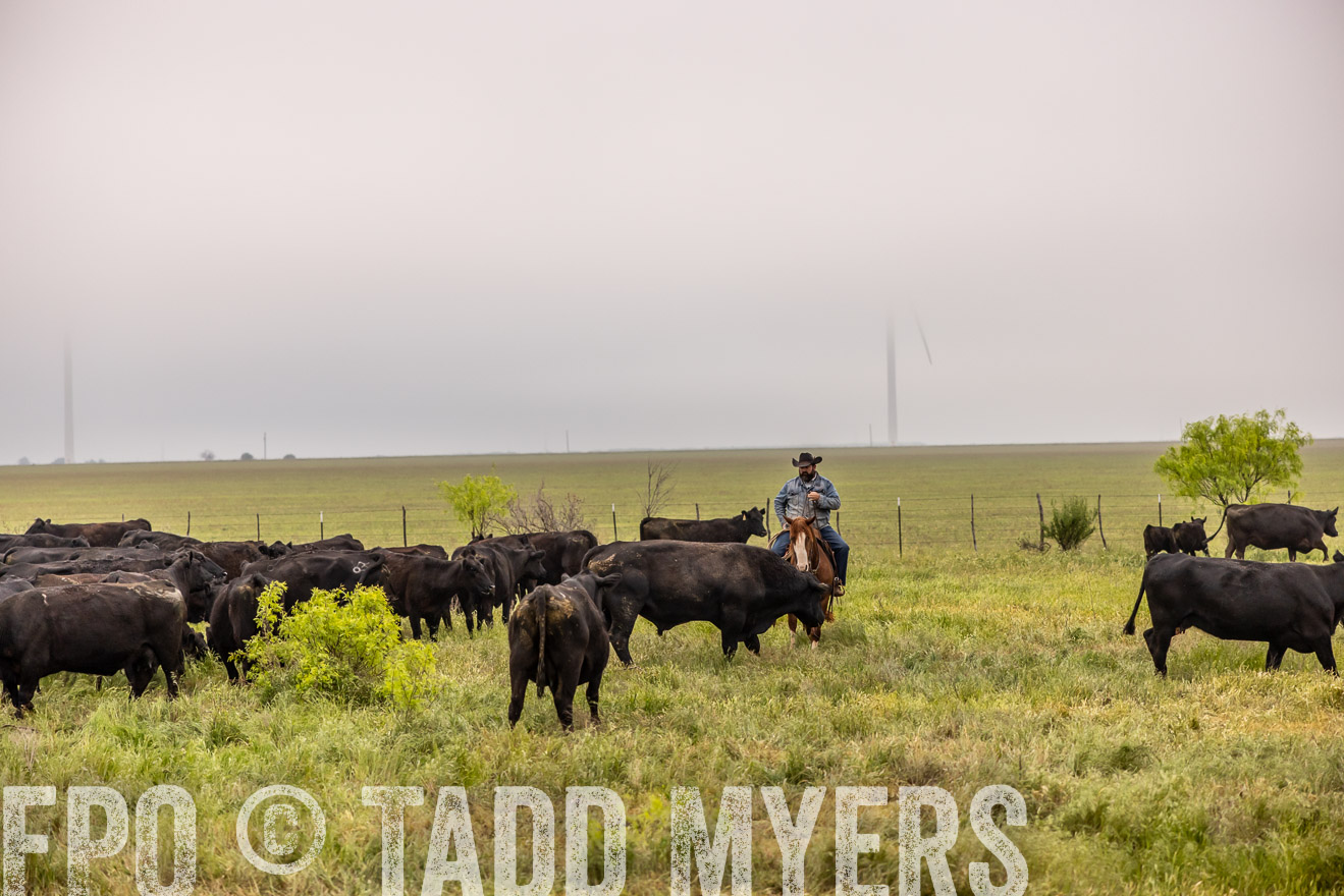 TMyers_PP_CircleBarRanch_TruscottTX_April2024-510684