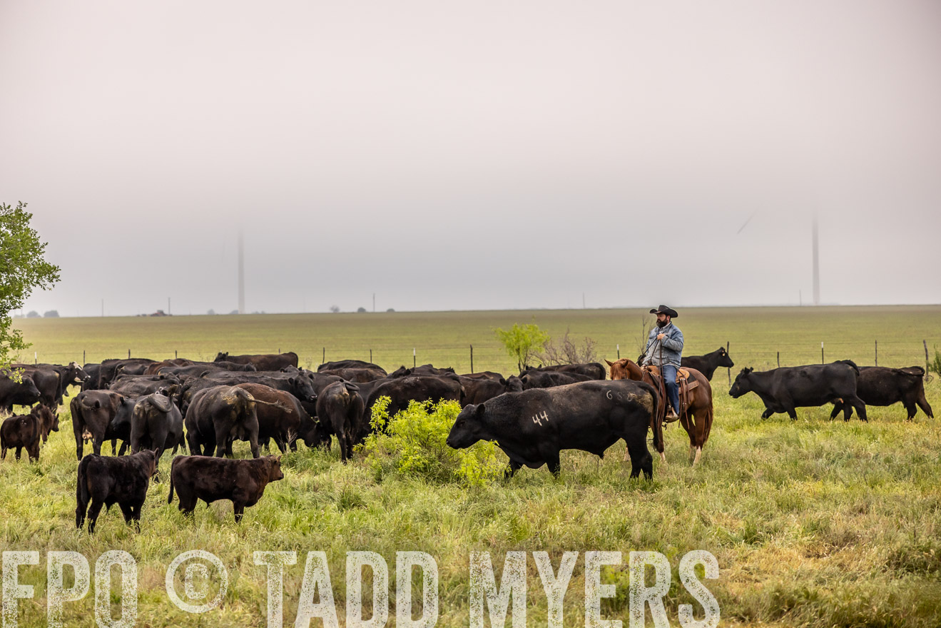 TMyers_PP_CircleBarRanch_TruscottTX_April2024-510694