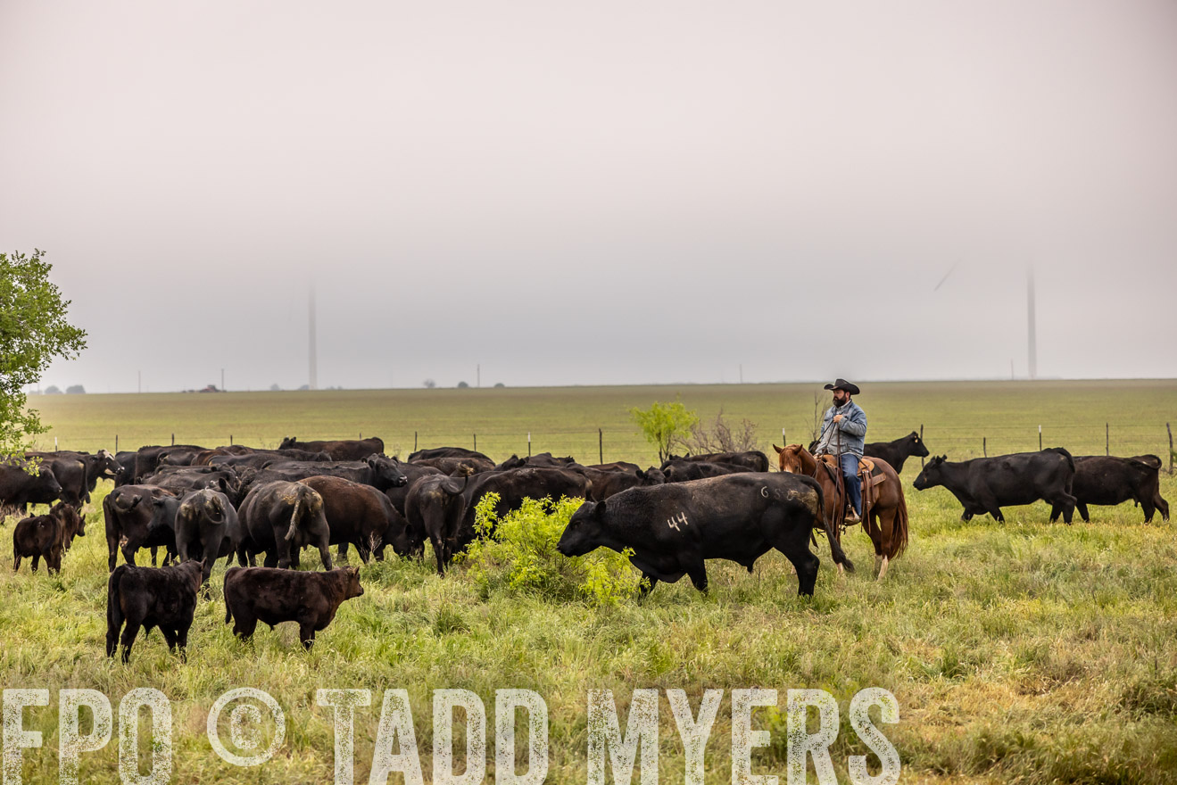 TMyers_PP_CircleBarRanch_TruscottTX_April2024-510695