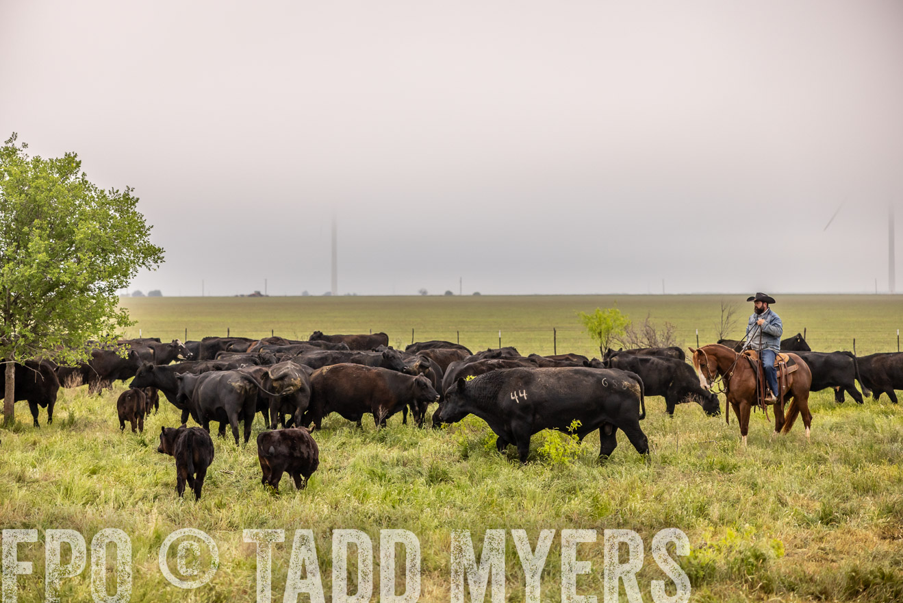 TMyers_PP_CircleBarRanch_TruscottTX_April2024-510698