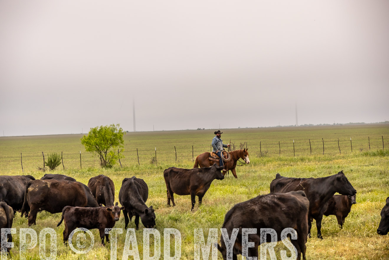 TMyers_PP_CircleBarRanch_TruscottTX_April2024-510717