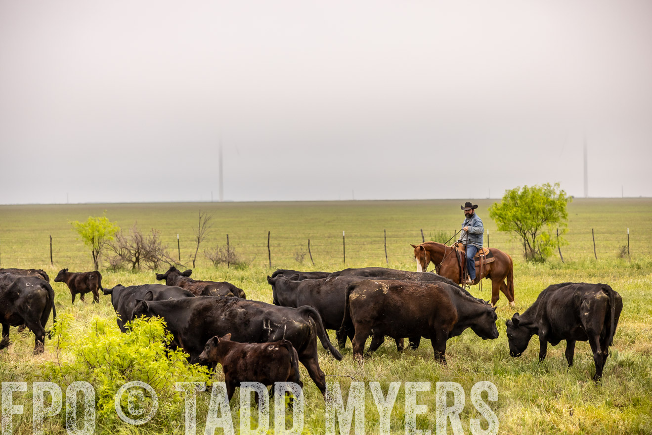 TMyers_PP_CircleBarRanch_TruscottTX_April2024-510718