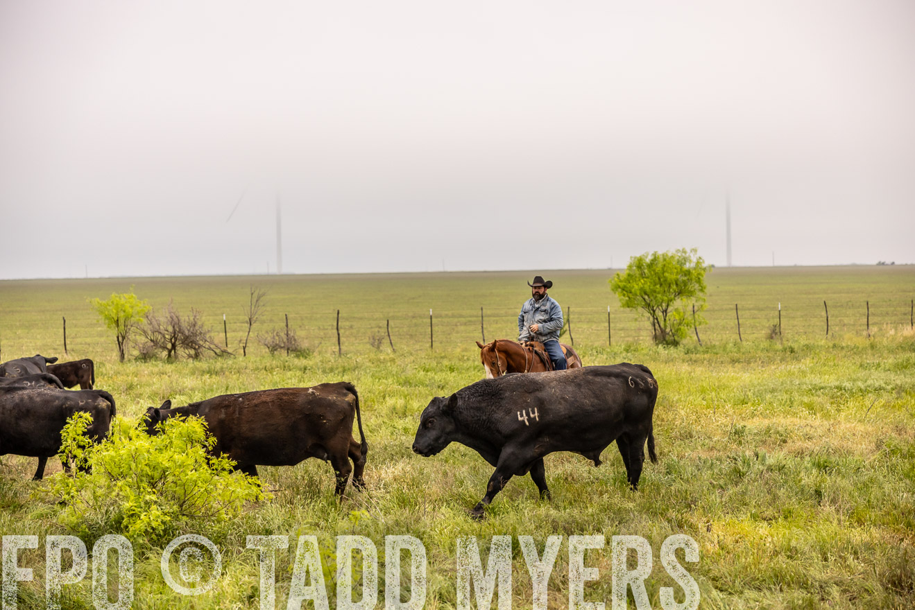 TMyers_PP_CircleBarRanch_TruscottTX_April2024-510739
