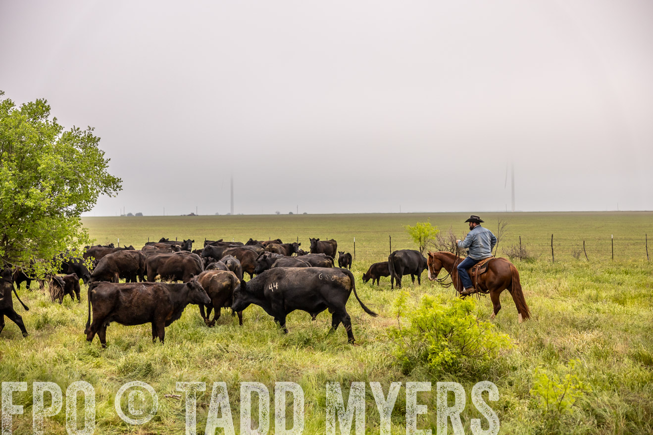TMyers_PP_CircleBarRanch_TruscottTX_April2024-510761