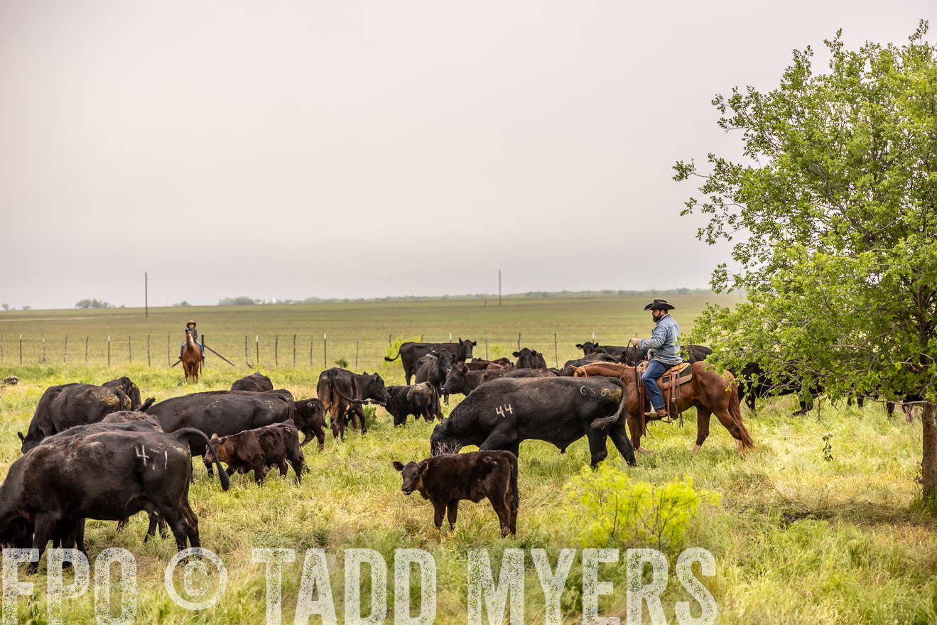 TMyers_PP_CircleBarRanch_TruscottTX_April2024-510774