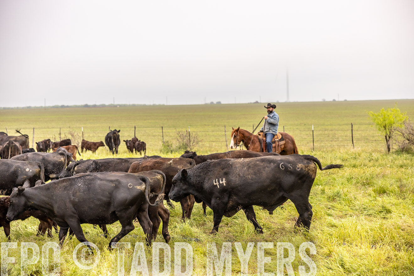 TMyers_PP_CircleBarRanch_TruscottTX_April2024-510801