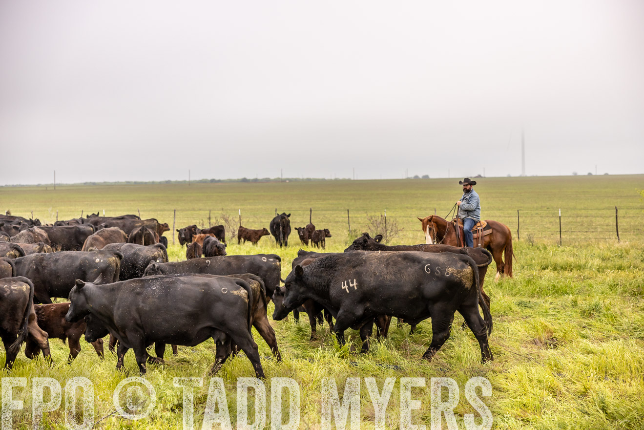 TMyers_PP_CircleBarRanch_TruscottTX_April2024-510808