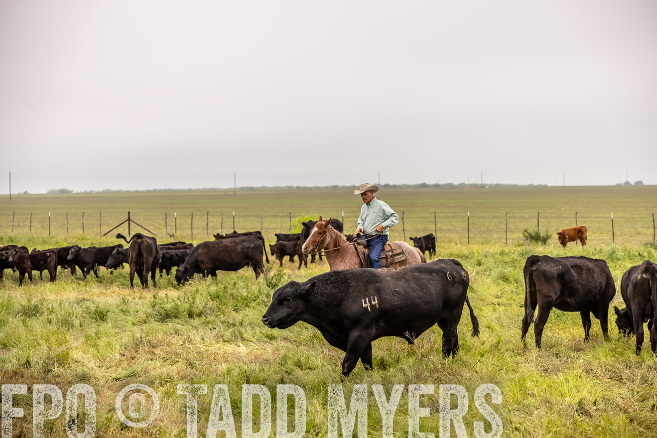 TMyers_PP_CircleBarRanch_TruscottTX_April2024-510847