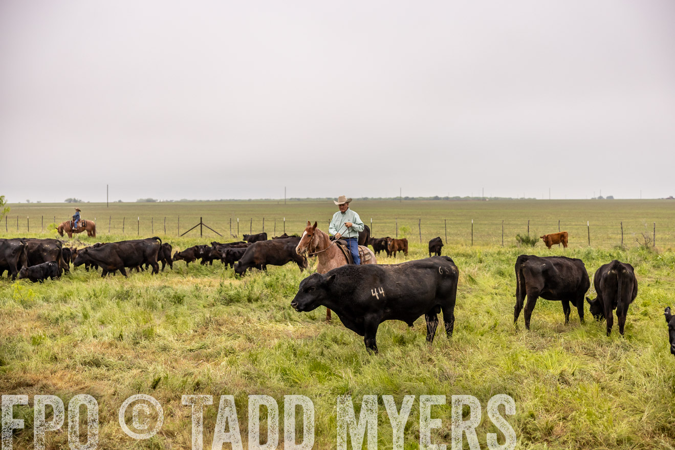 TMyers_PP_CircleBarRanch_TruscottTX_April2024-510849