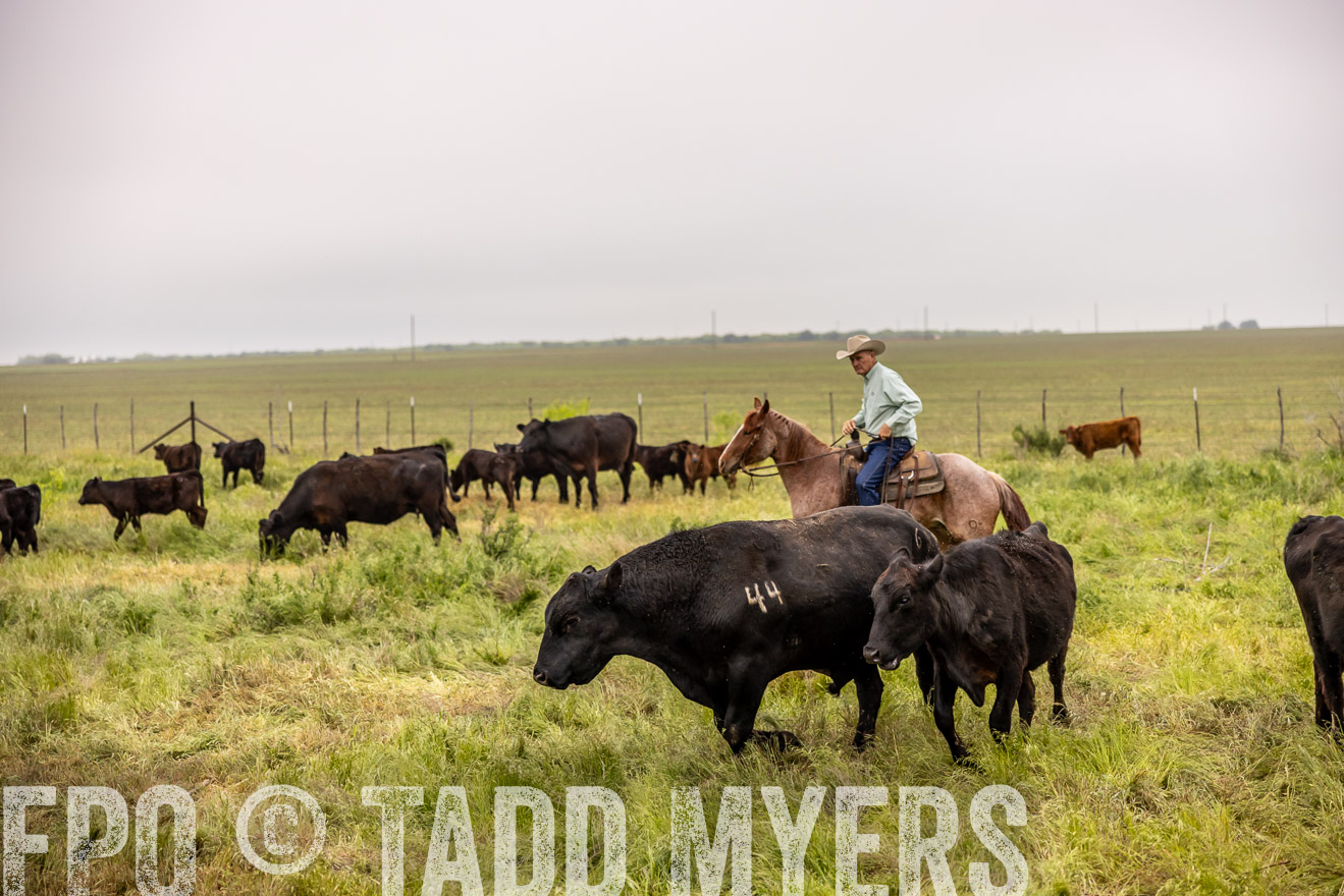 TMyers_PP_CircleBarRanch_TruscottTX_April2024-510859