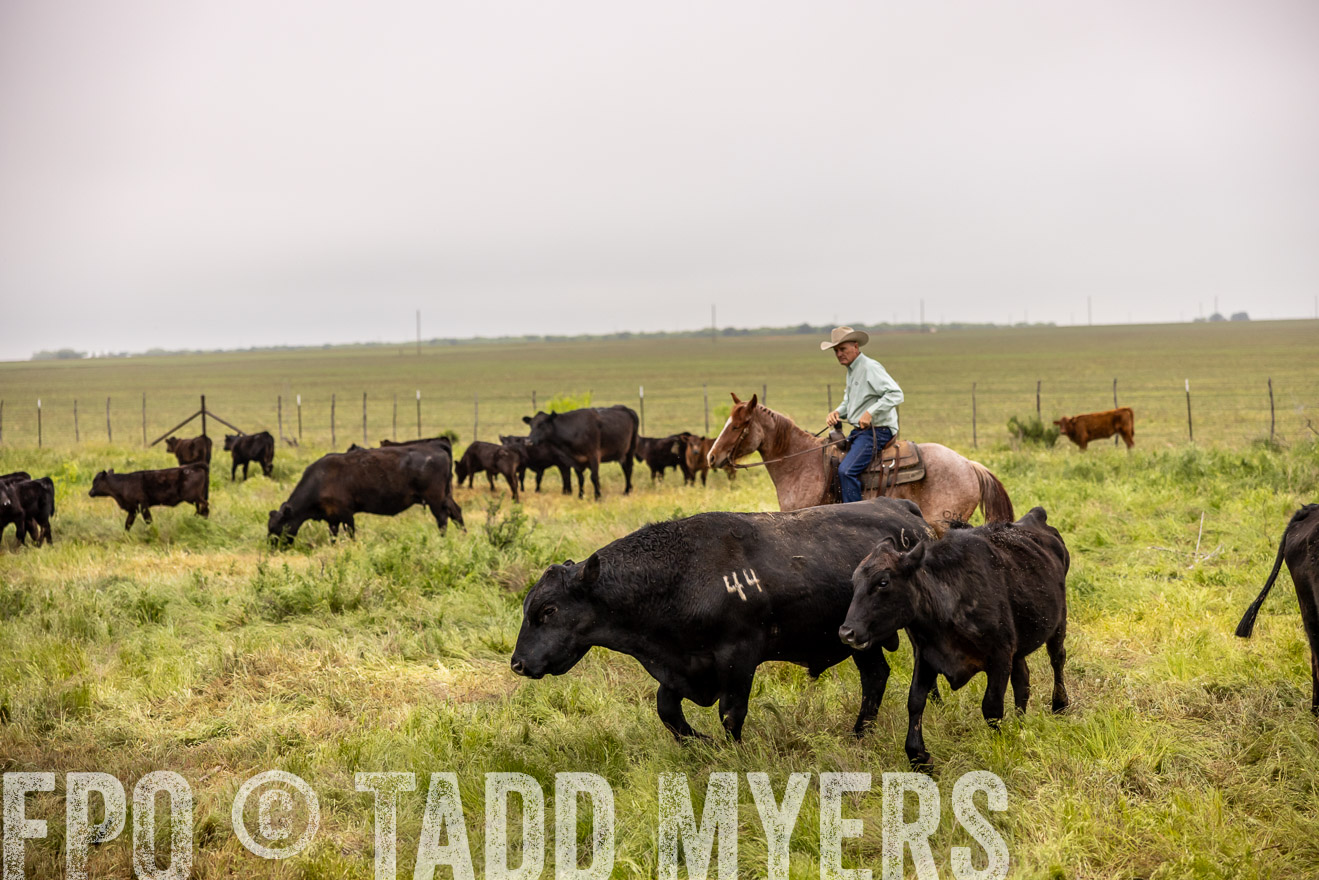 TMyers_PP_CircleBarRanch_TruscottTX_April2024-510860