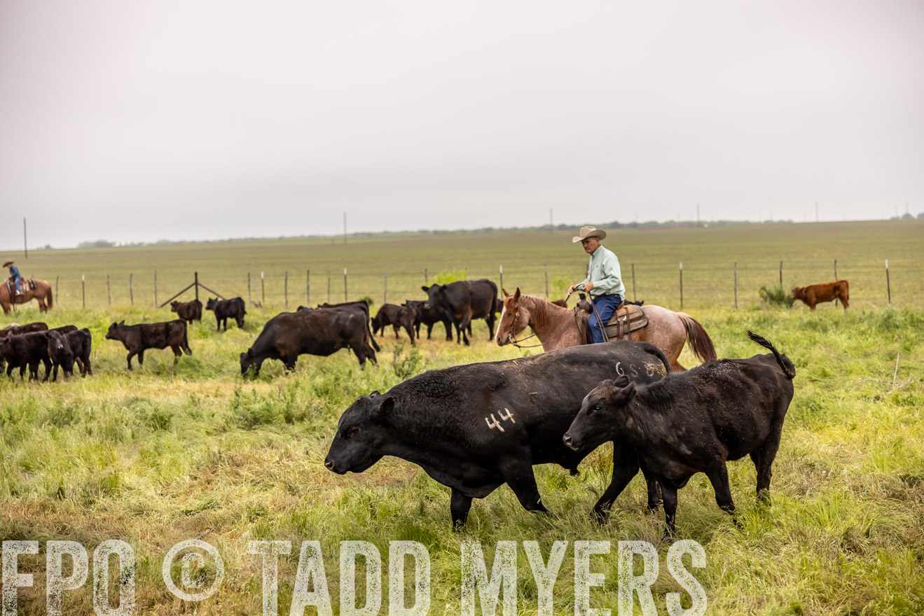 TMyers_PP_CircleBarRanch_TruscottTX_April2024-510863