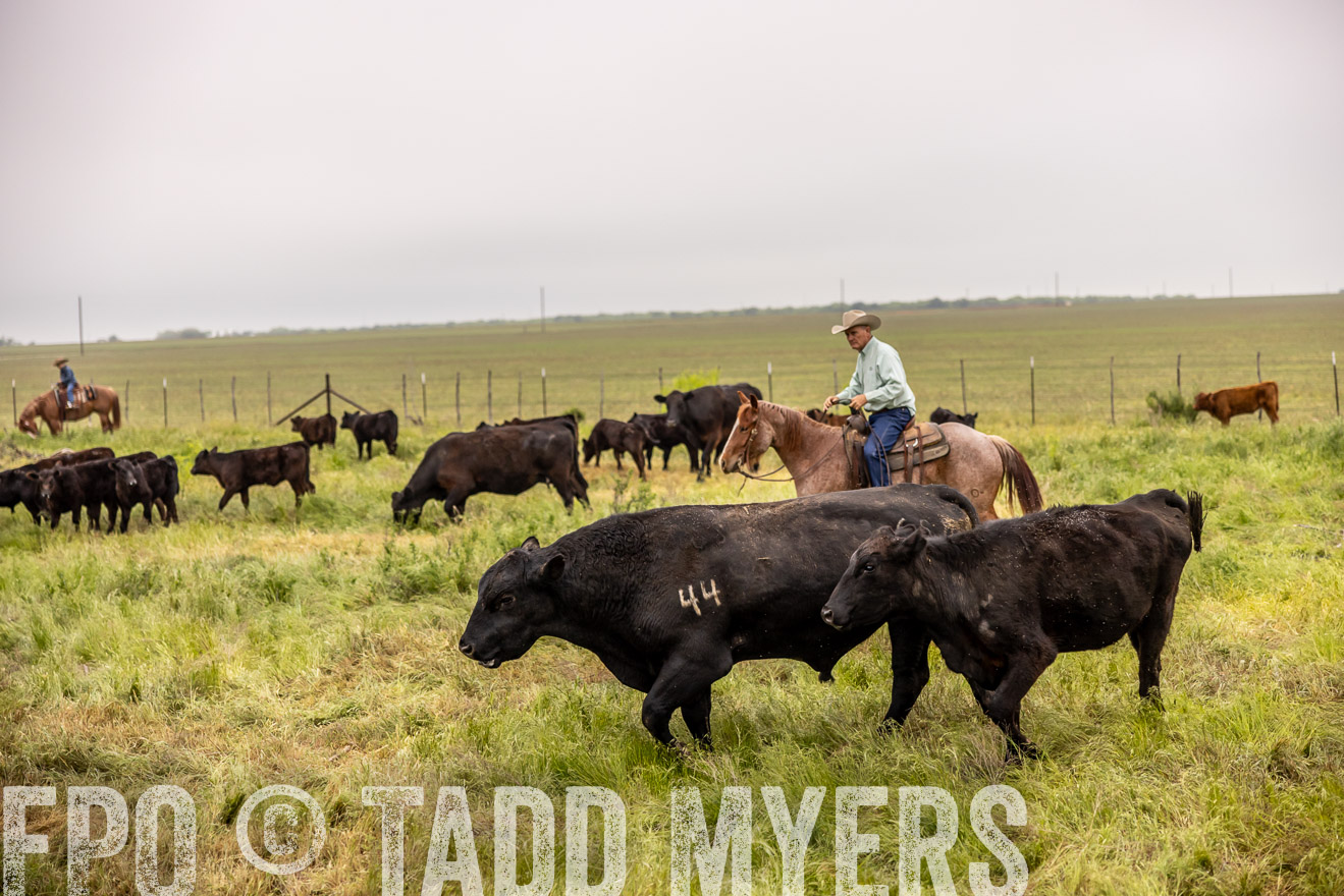 TMyers_PP_CircleBarRanch_TruscottTX_April2024-510865