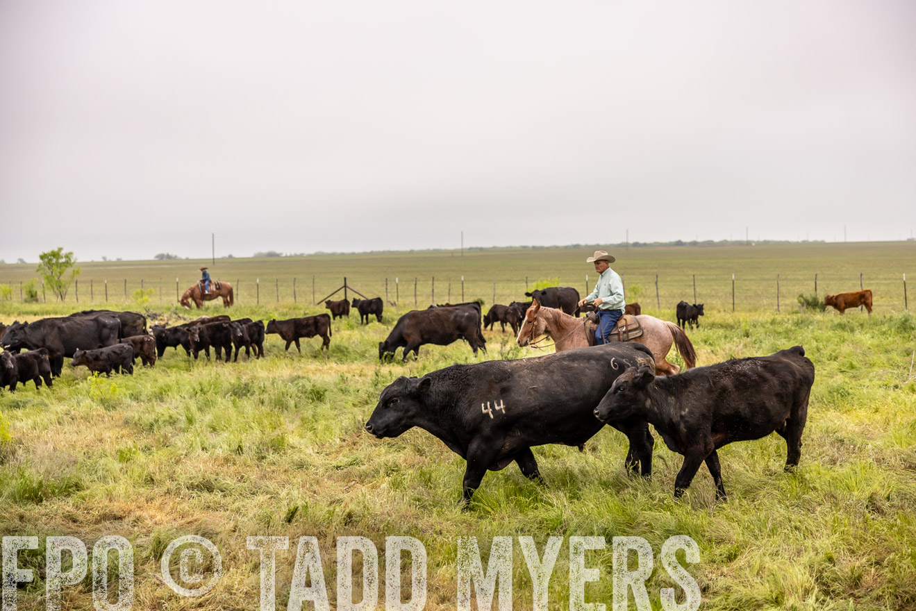 TMyers_PP_CircleBarRanch_TruscottTX_April2024-510868