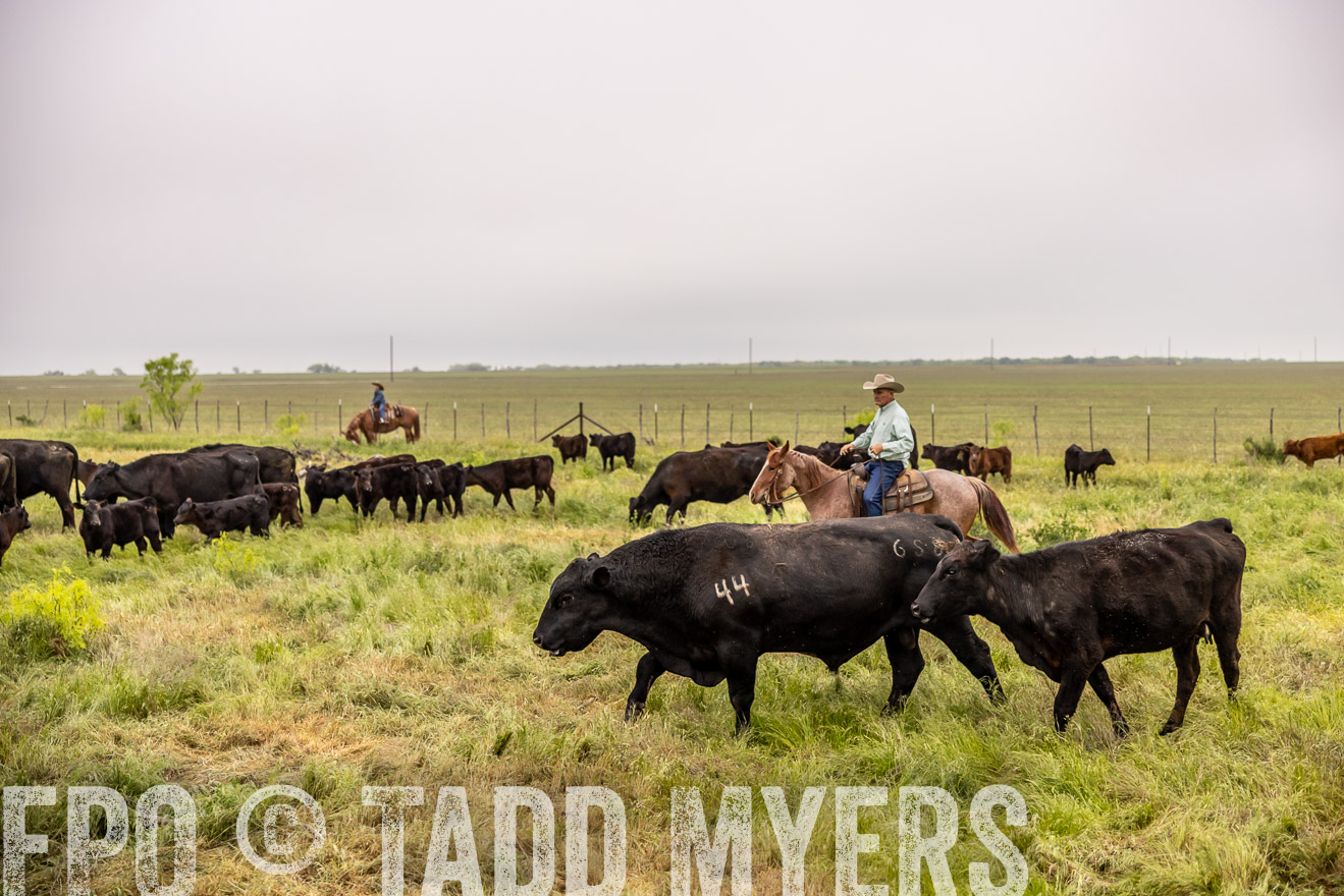 TMyers_PP_CircleBarRanch_TruscottTX_April2024-510871
