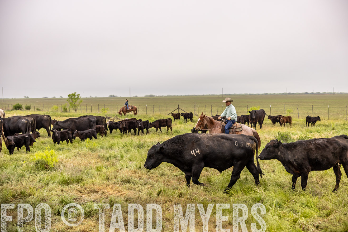 TMyers_PP_CircleBarRanch_TruscottTX_April2024-510873