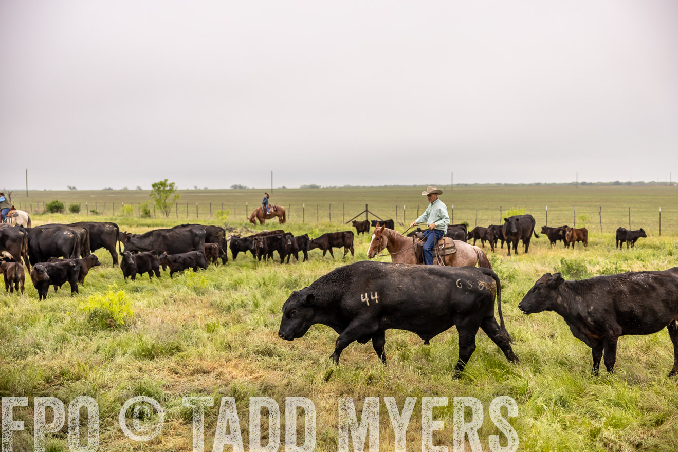 TMyers_PP_CircleBarRanch_TruscottTX_April2024-510875
