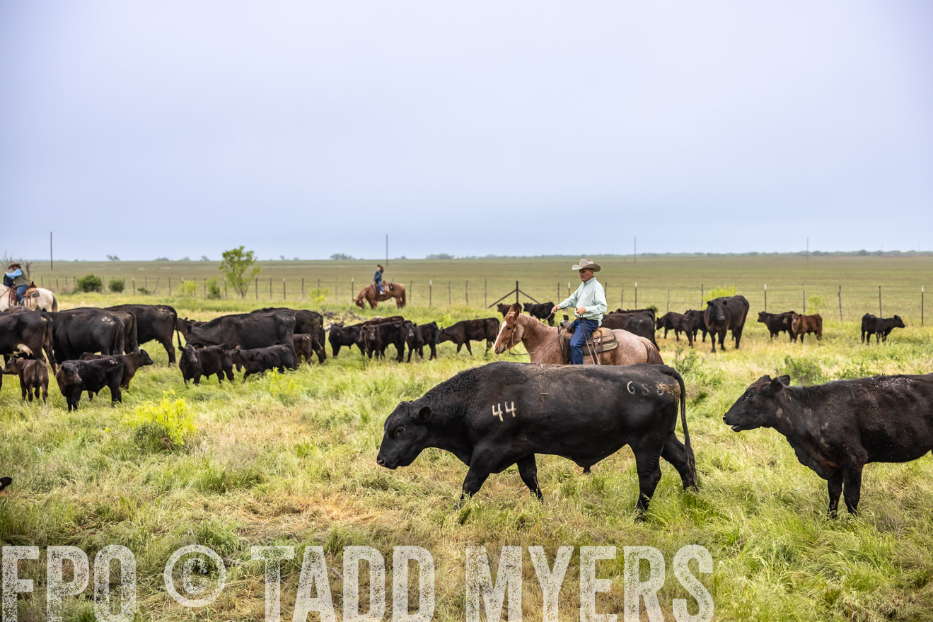 TMyers_PP_CircleBarRanch_TruscottTX_April2024-510876
