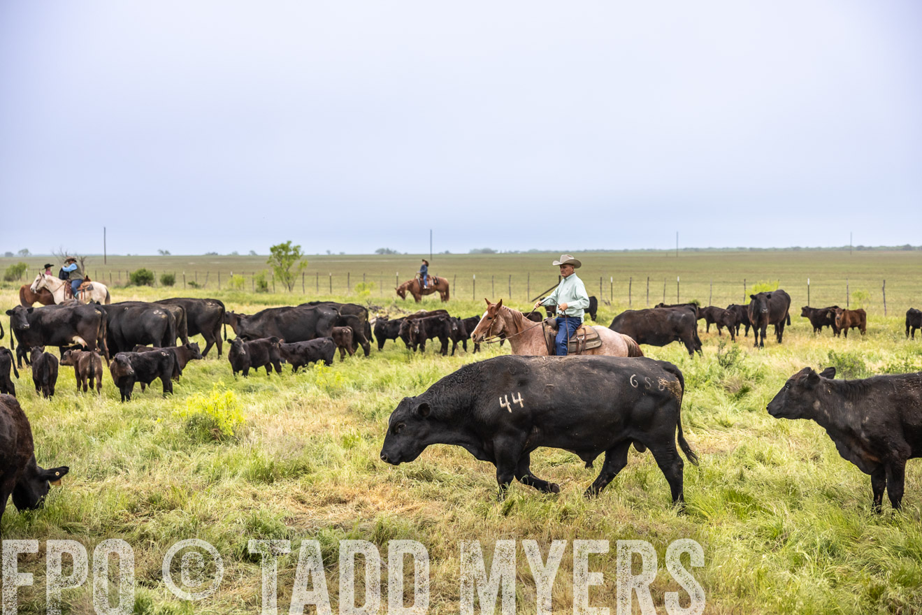 TMyers_PP_CircleBarRanch_TruscottTX_April2024-510877