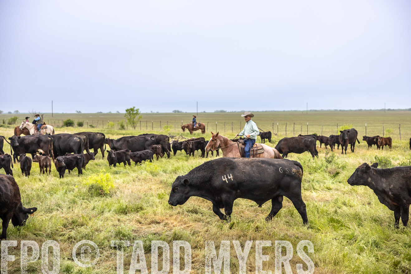 TMyers_PP_CircleBarRanch_TruscottTX_April2024-510878