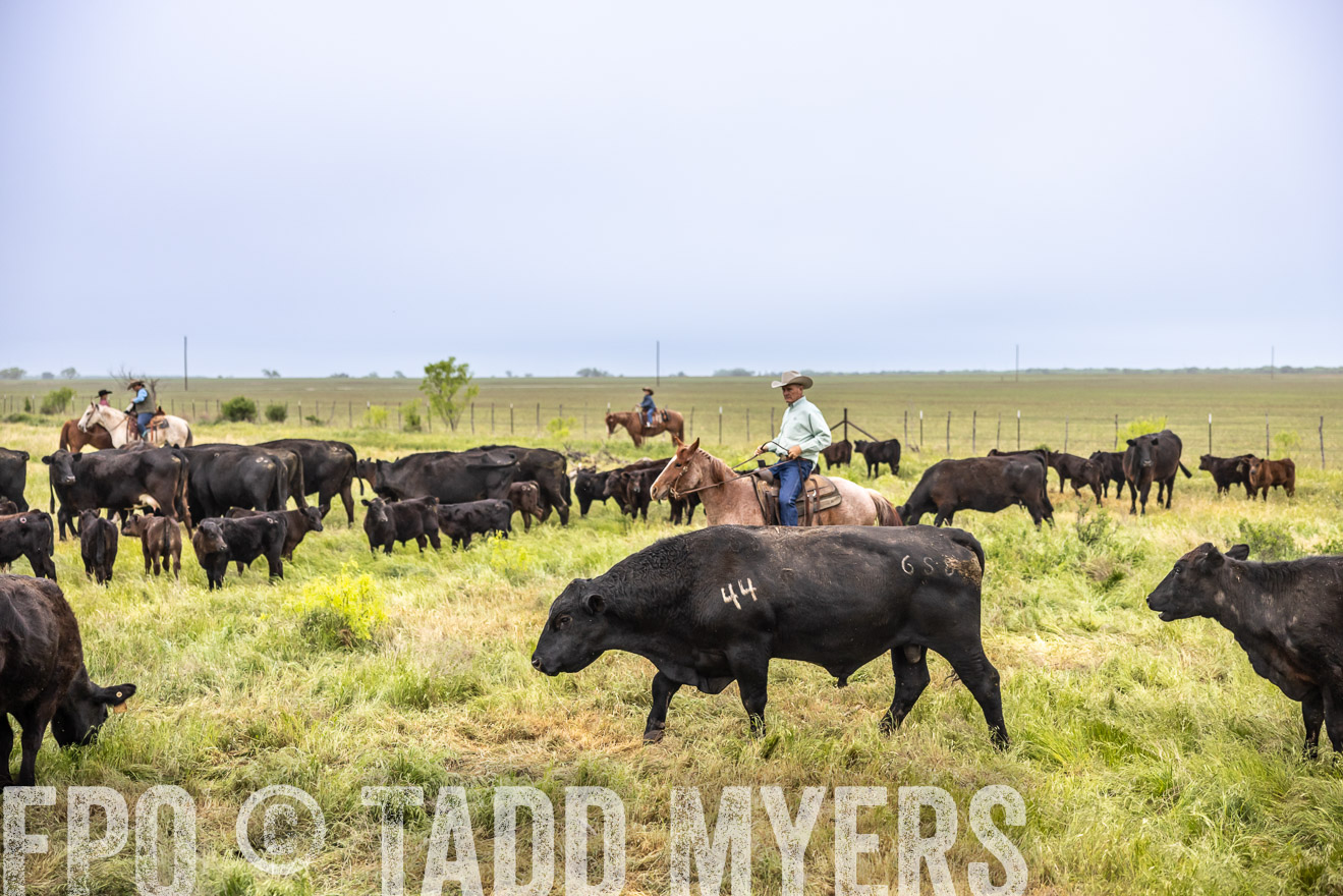 TMyers_PP_CircleBarRanch_TruscottTX_April2024-510879