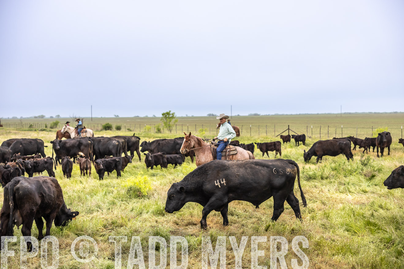 TMyers_PP_CircleBarRanch_TruscottTX_April2024-510883