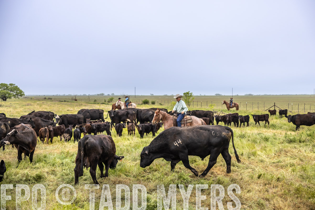 TMyers_PP_CircleBarRanch_TruscottTX_April2024-510890
