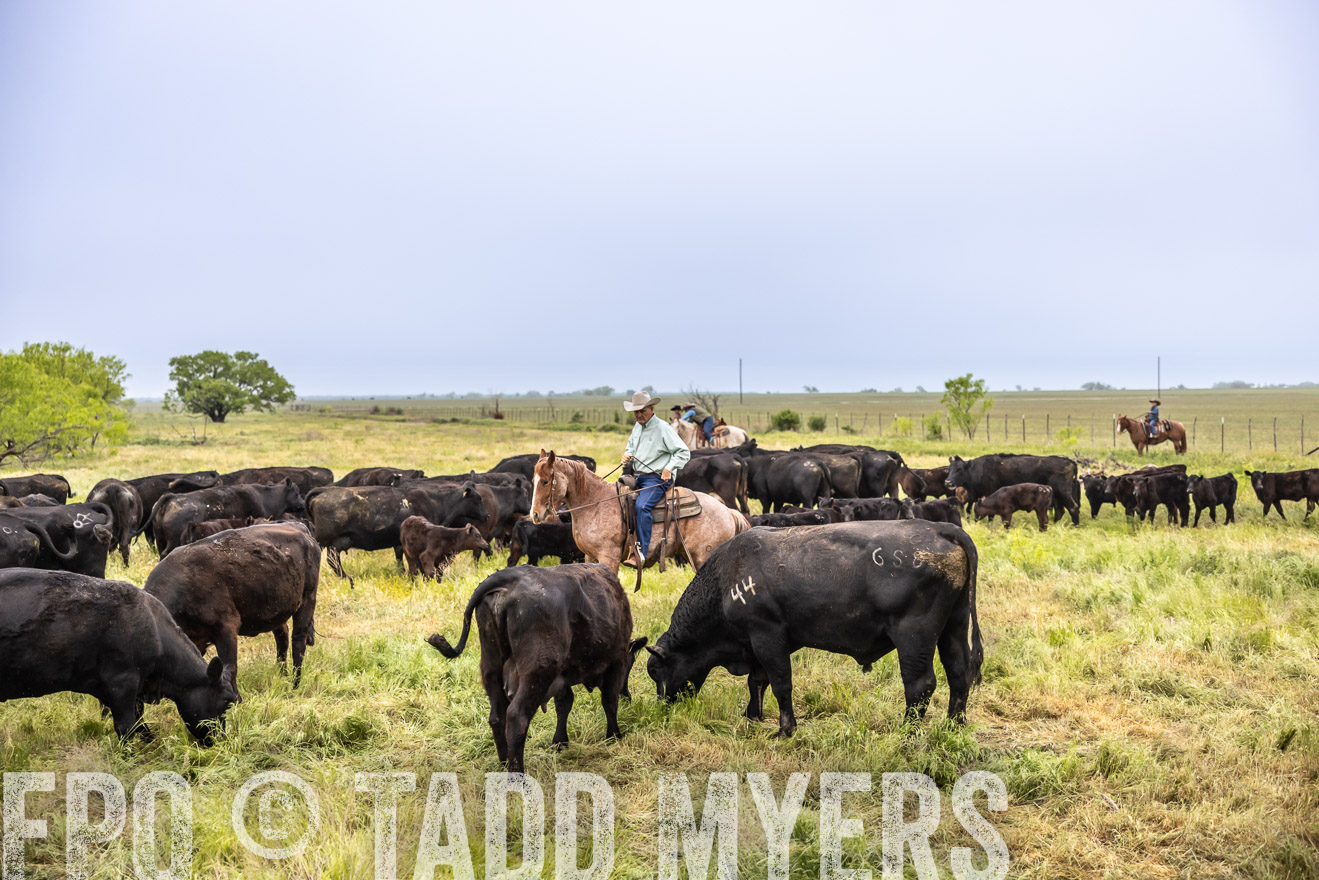 TMyers_PP_CircleBarRanch_TruscottTX_April2024-510899