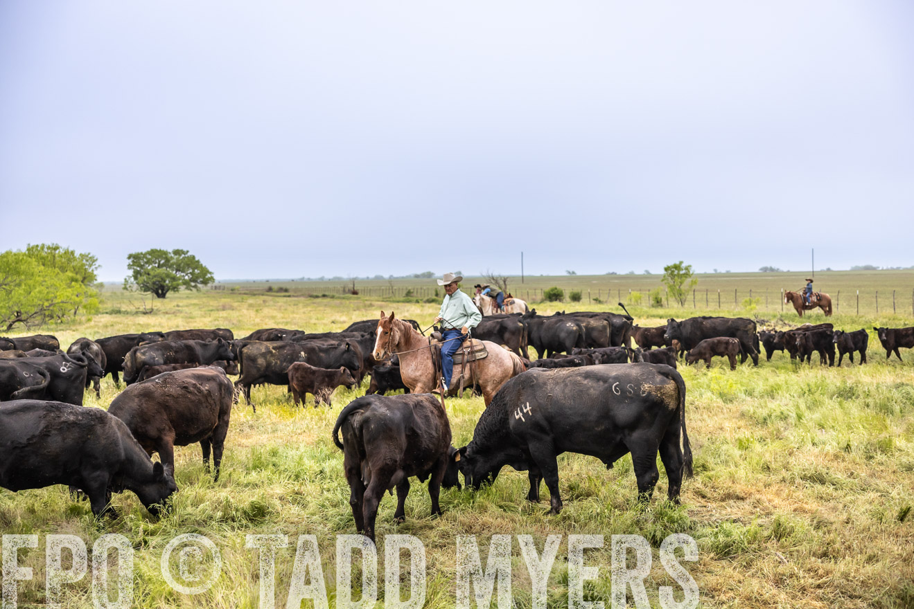 TMyers_PP_CircleBarRanch_TruscottTX_April2024-510901